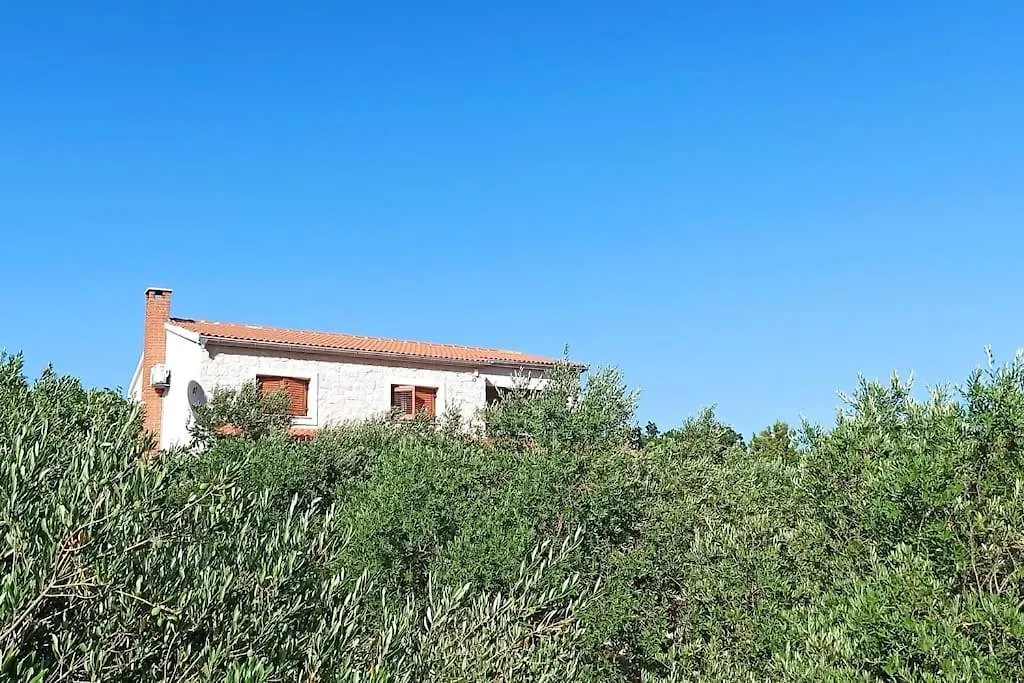 New! Beautiful Stone Villa In Eco Olive Grove Posedarje