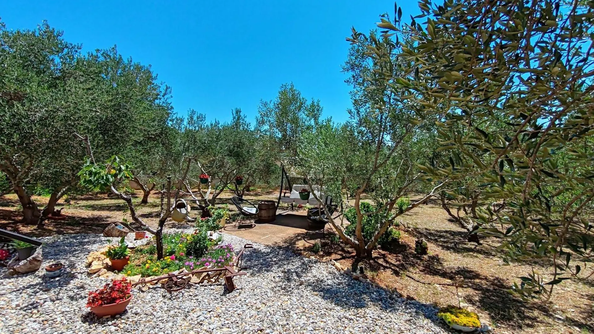 New! Beautiful Stone Villa In Eco Olive Grove Posedarje Croatia